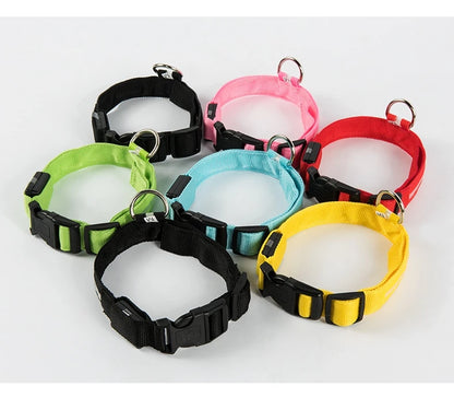 Nylon LED Night Safety Flashing Glow In The Dark Dog Leash Dogs Luminous Fluorescent Pet Dog Collar