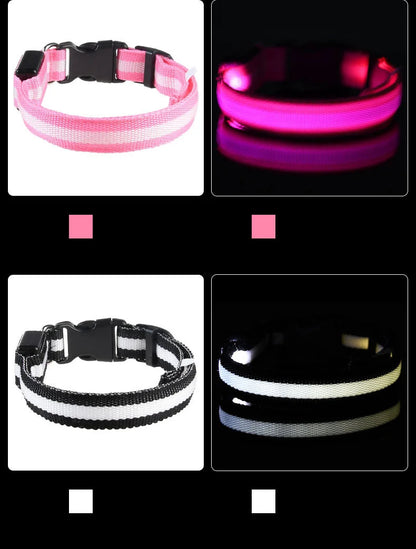 Nylon LED Night Safety Flashing Glow In The Dark Dog Leash Dogs Luminous Fluorescent Pet Dog Collar